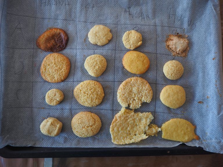 Lee más sobre el artículo COOKIE LAB