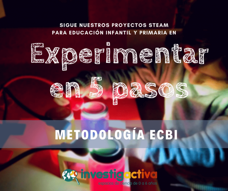 Lee más sobre el artículo Los 5 pasos para experimentar con el método científico