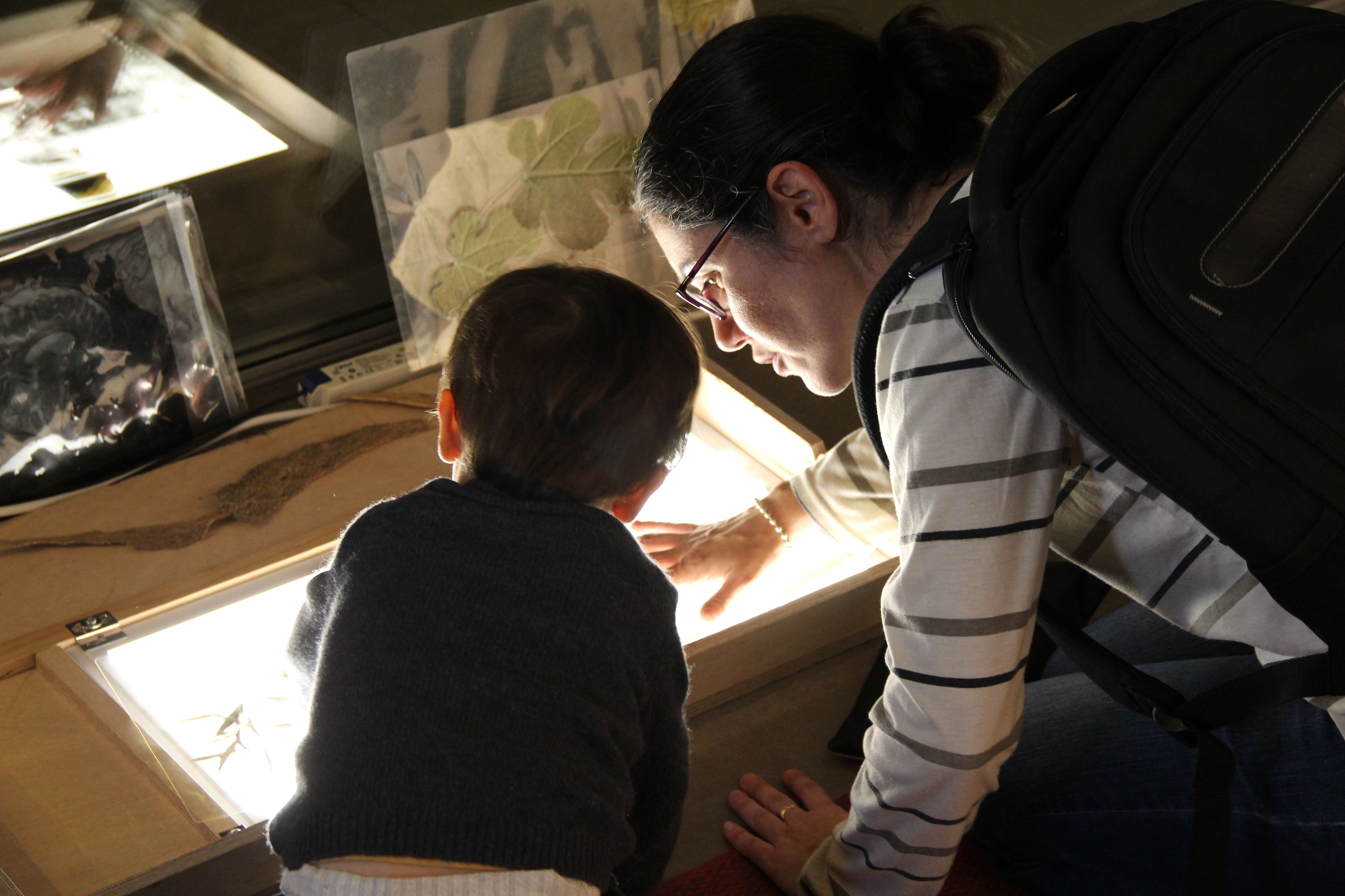 investigactiva luz