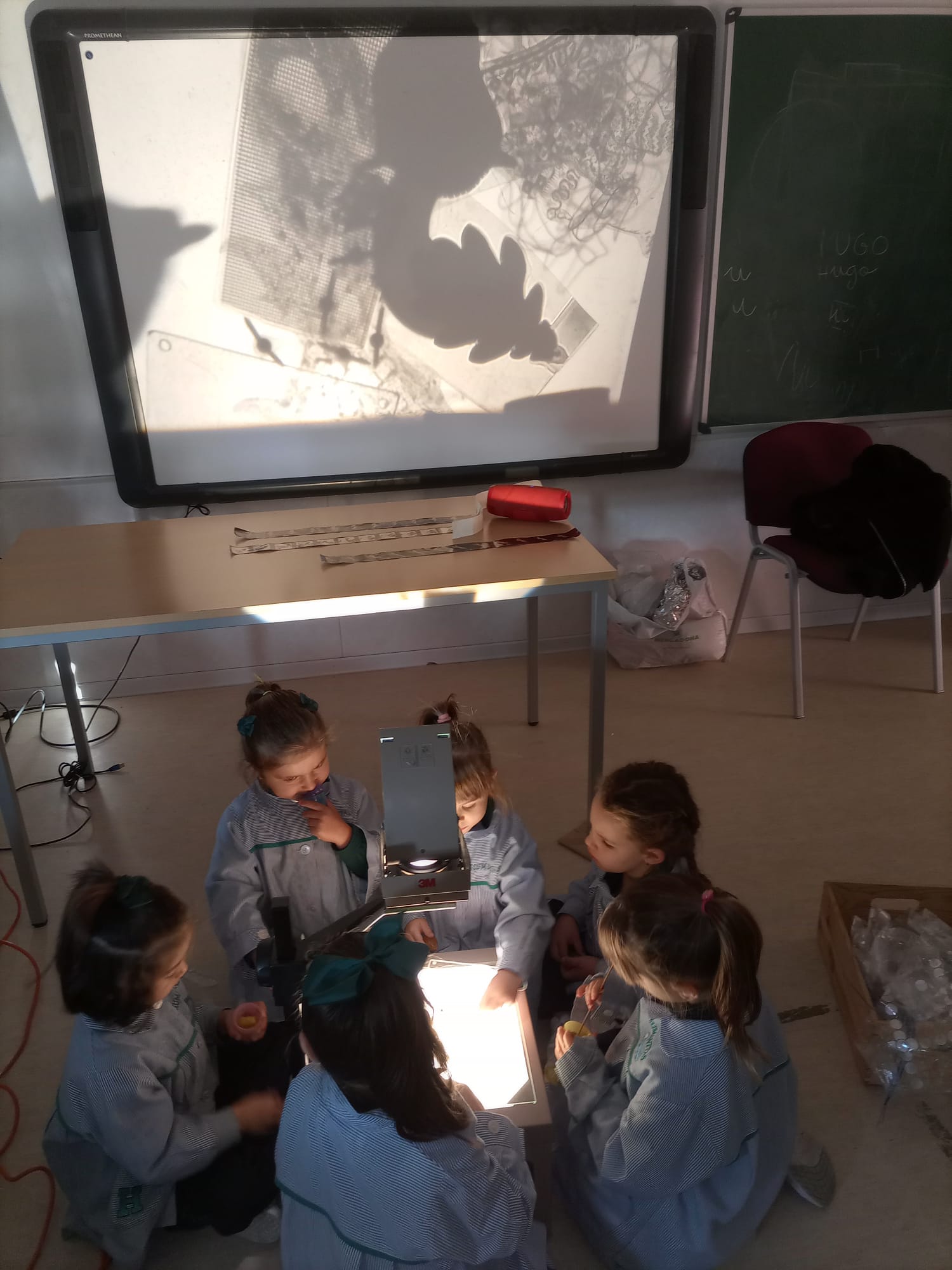investigactiva taller luz colegio