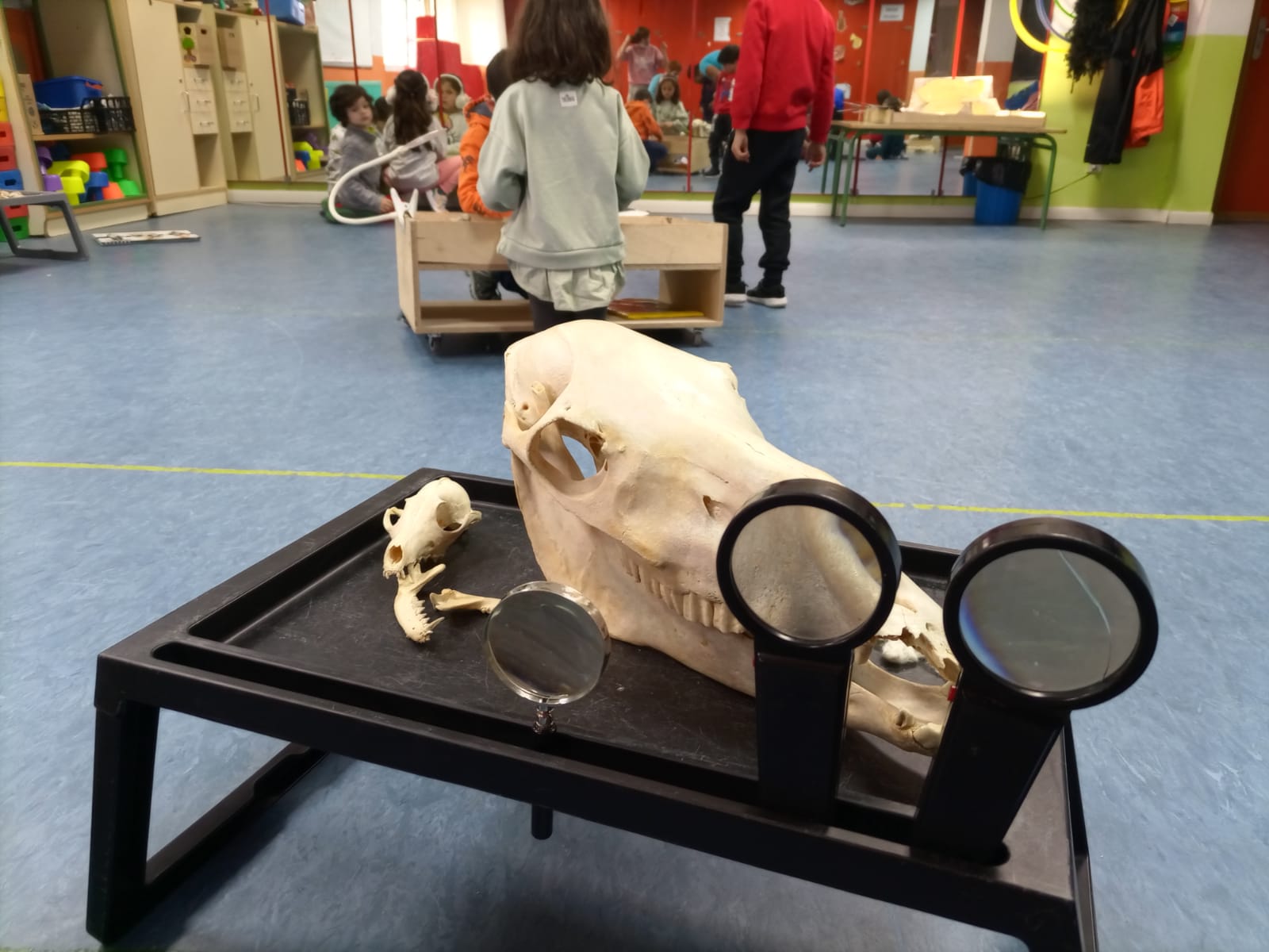investigactiva aula colegio naturaleza cuerpo humano
