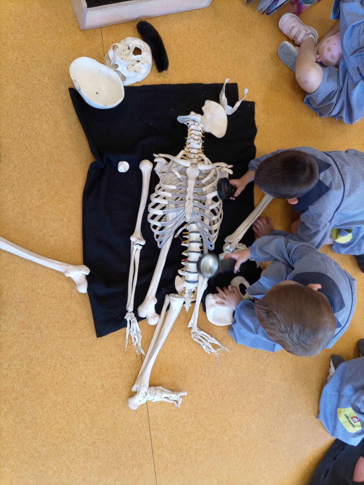 investigactiva naturaleza cuerpo humano