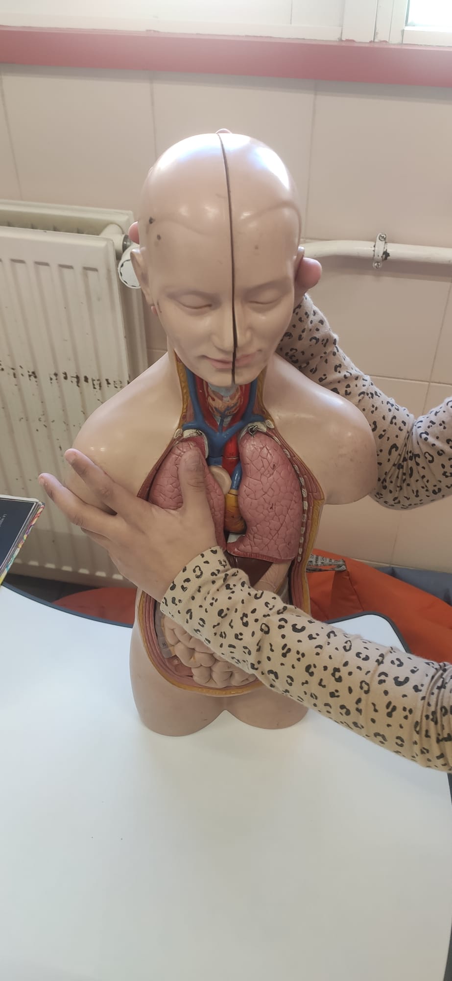 Cuerpo humano cerca investigactiva