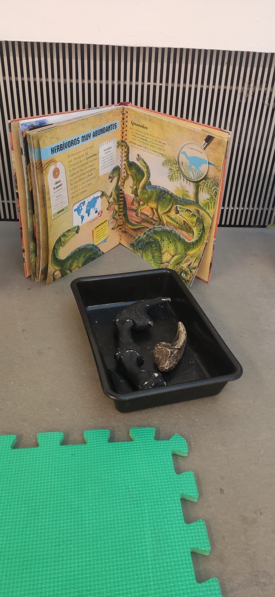 dinosaurios investigactiva