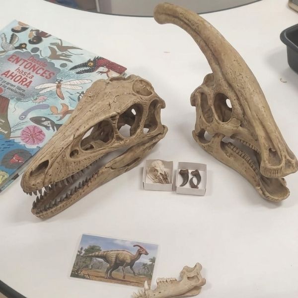 dinosaurios investigactiva