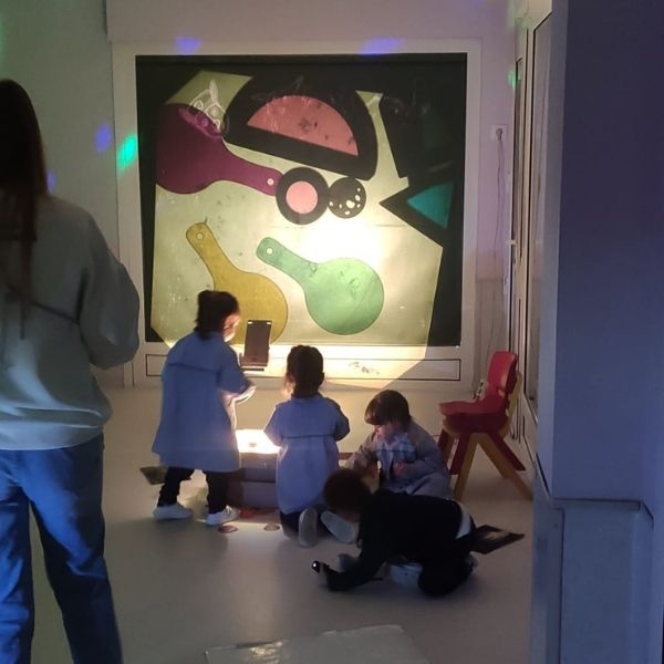 investigactiva luz