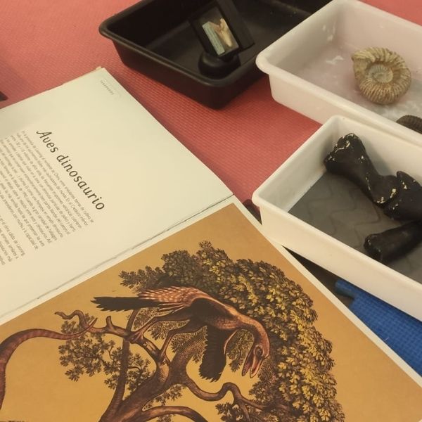 dinosaurios investigactiva