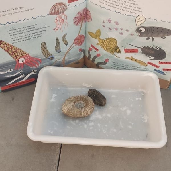 dinosaurios investigactiva