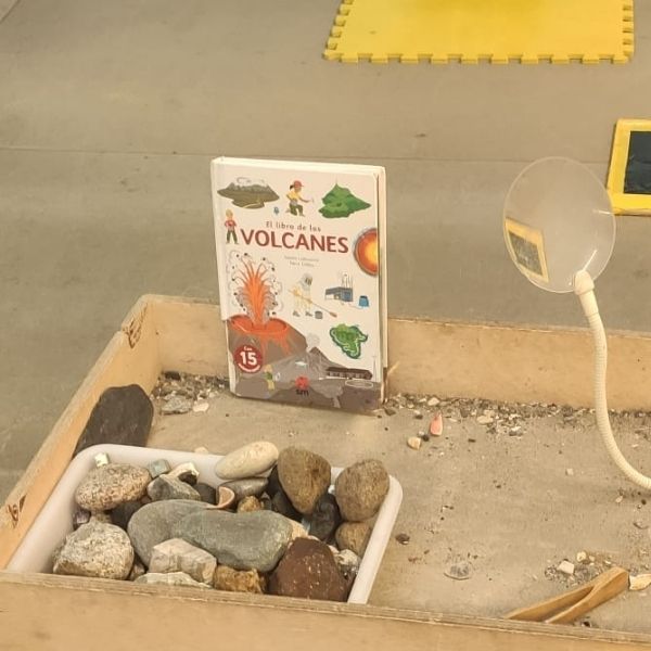 dinosaurios investigactiva
